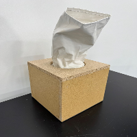 Flow Sciences Hepa Filter image 0